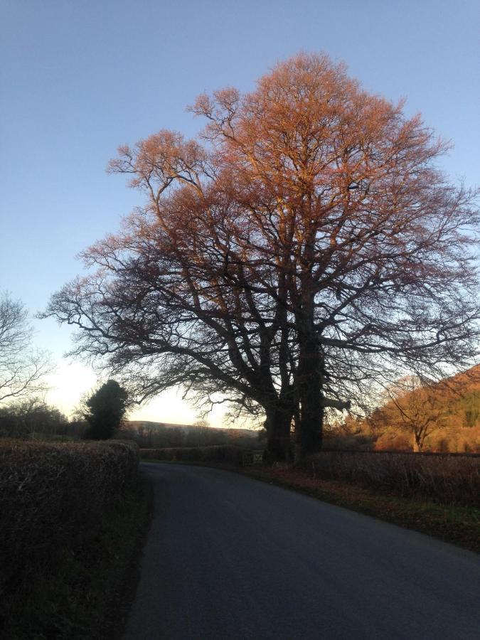 Henllys Estate B And B Llandovery Eksteriør billede